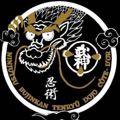 Bujinkan Tenryu Dojo Ninjutsu Dijon-Talant – BTD / C6