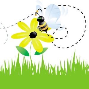 Sauvegarde des abeilles gardiennes de l’environnement / B3