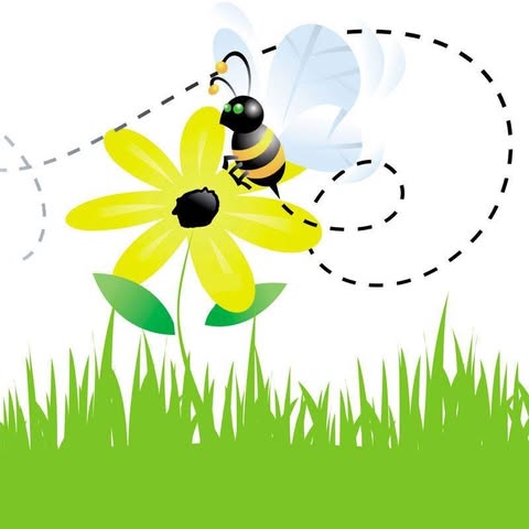 Sauvegarde des abeilles gardiennes de l’environnement / B3