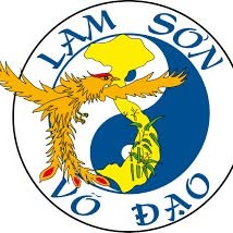 Lam Son Vo Dao Dijon / C6