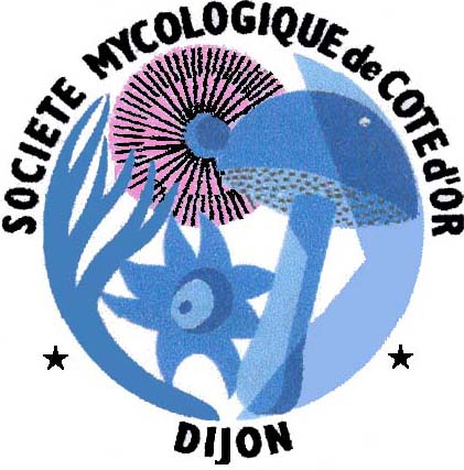 Société Mycologique de la Côte d’Or / C15
